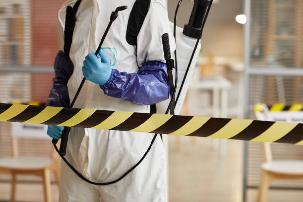 Professional Blood Cleanup technician working in Linden, AZ